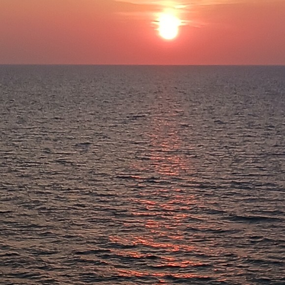 silvaconsiglio